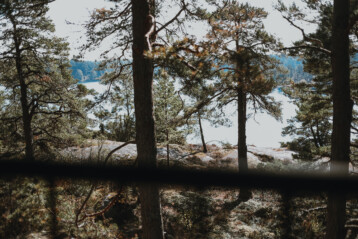 utsikt genom fönstret där man ser vackra tallar och klipporna ned till vattnet. Vacker sommardag.