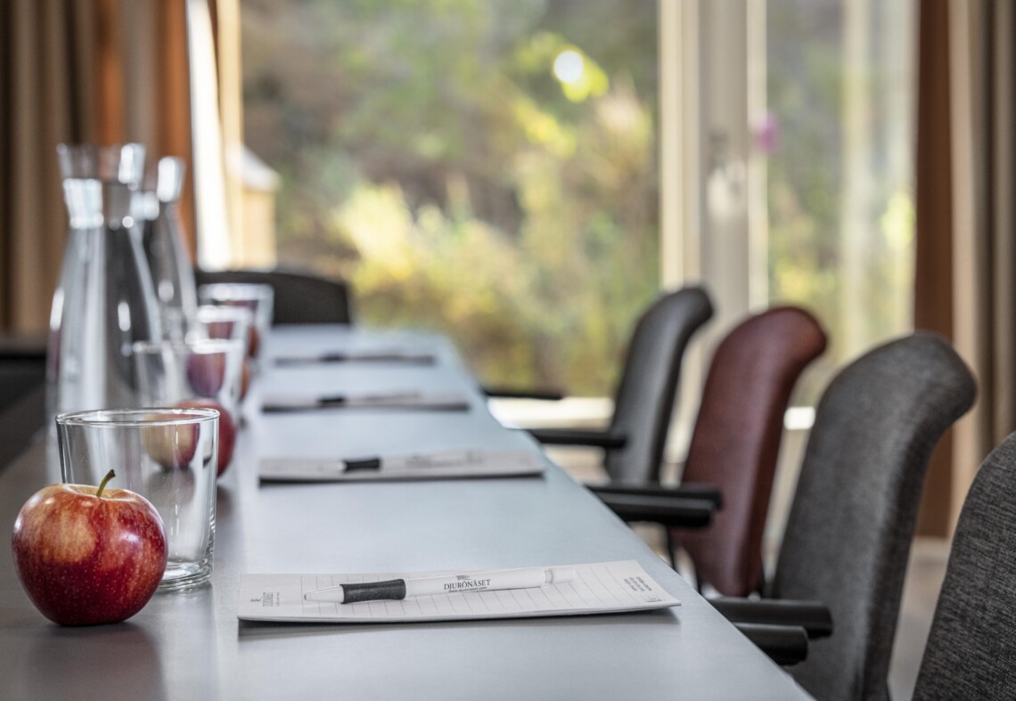 Konferensloka på Djurnäset spaanläggning och hotell. konferenslokal på Djurö näset. Stora kongressen. kongressal i stockholm. Skärgården i Stockholm.